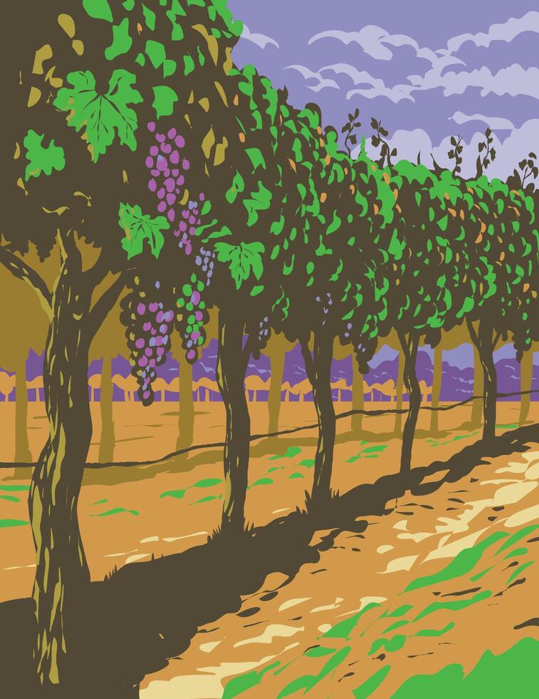 Grapevine in Vineyards of Sonoma Valley Wine Region Northern California WPA Poster Art vector