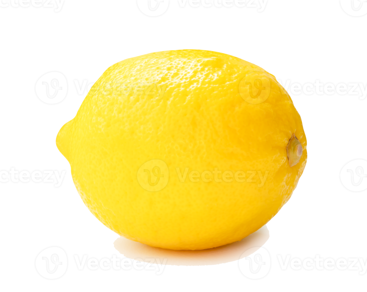 Side view of fresh yellow lemon fruit isolated with clipping path and shadow in file format png