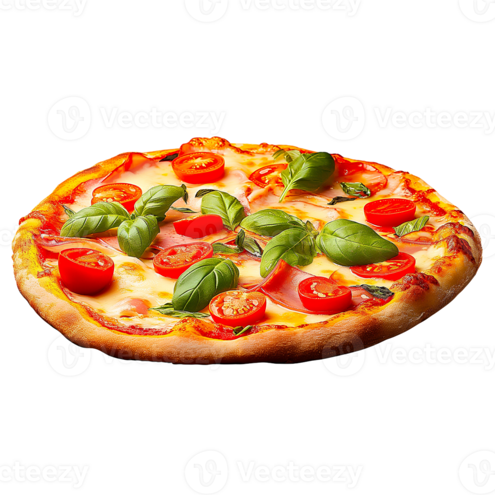 Pizza various Flavors no background png