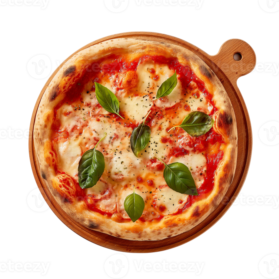 Pizza various Flavors no background png