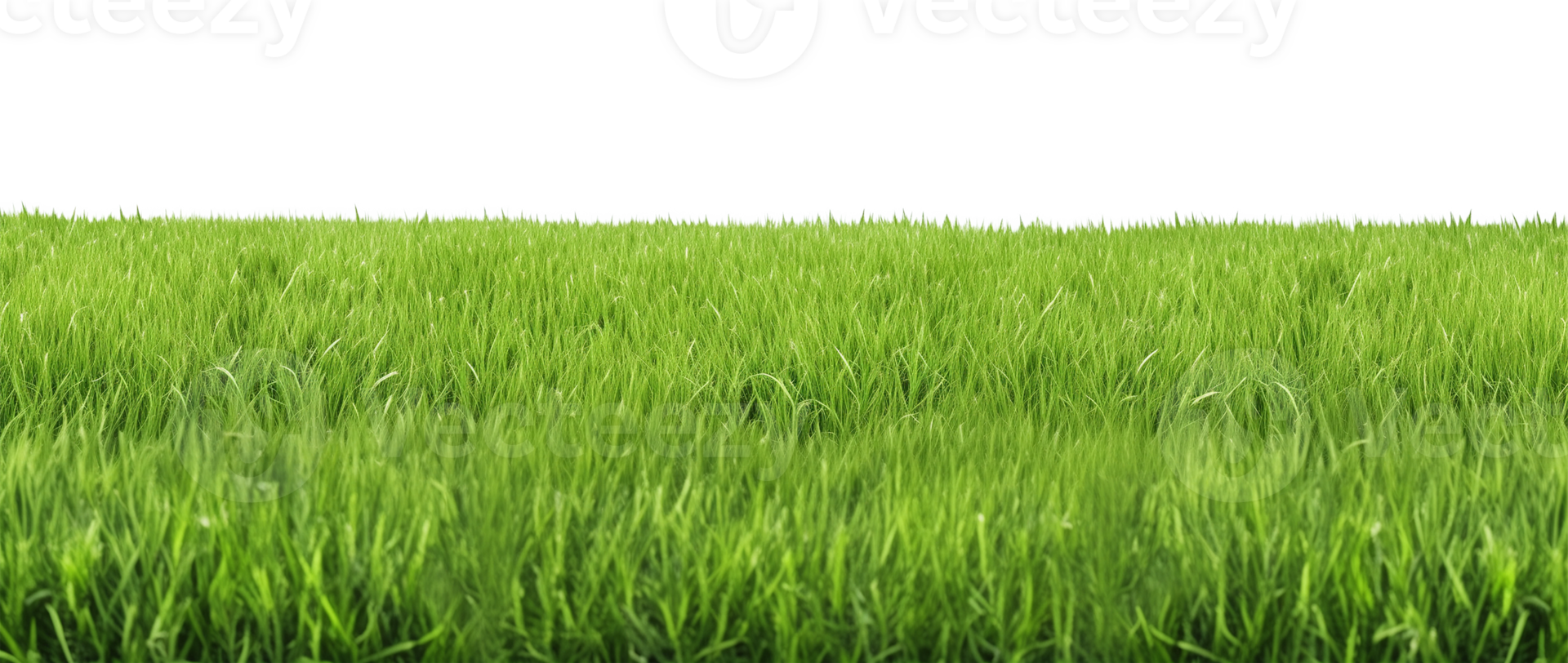 Grass Field Landscape Isolated on Transparent Background png