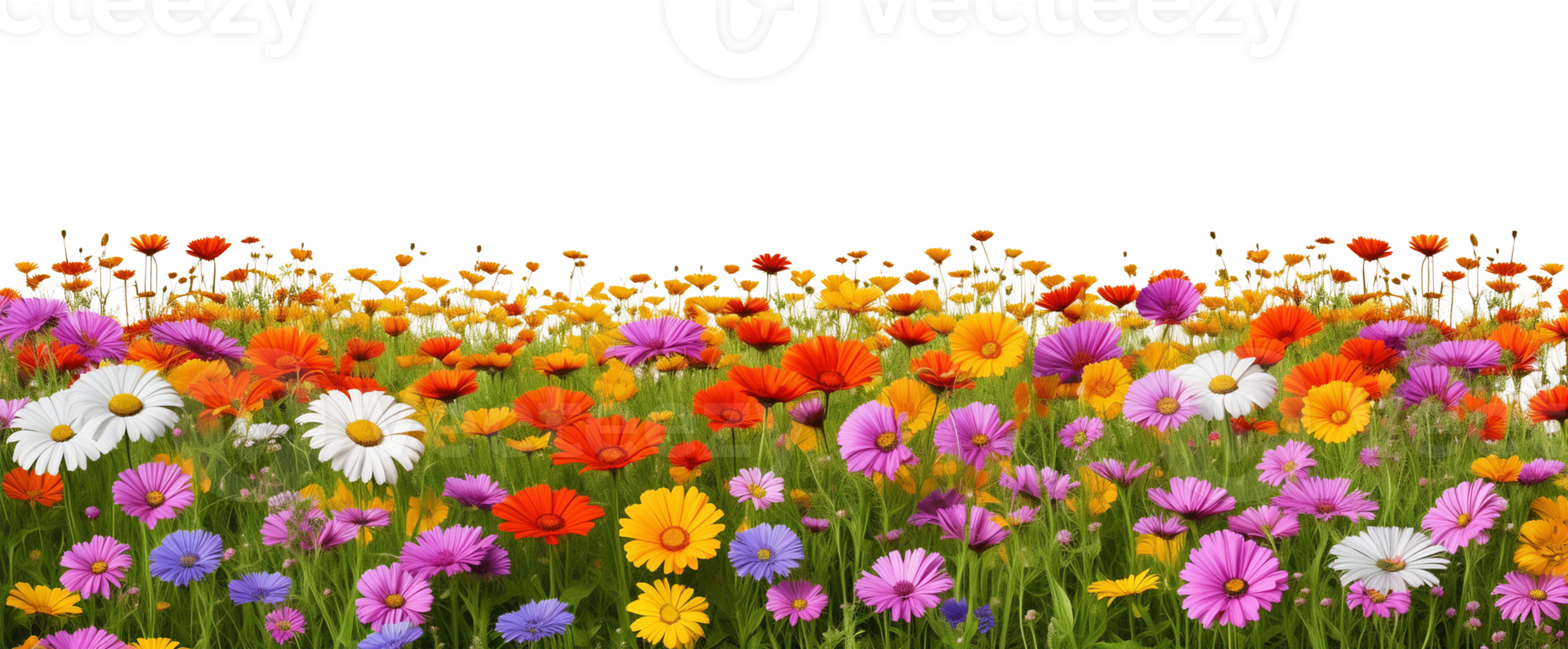 Flower Field Landscape Isolated on Transparent Background png