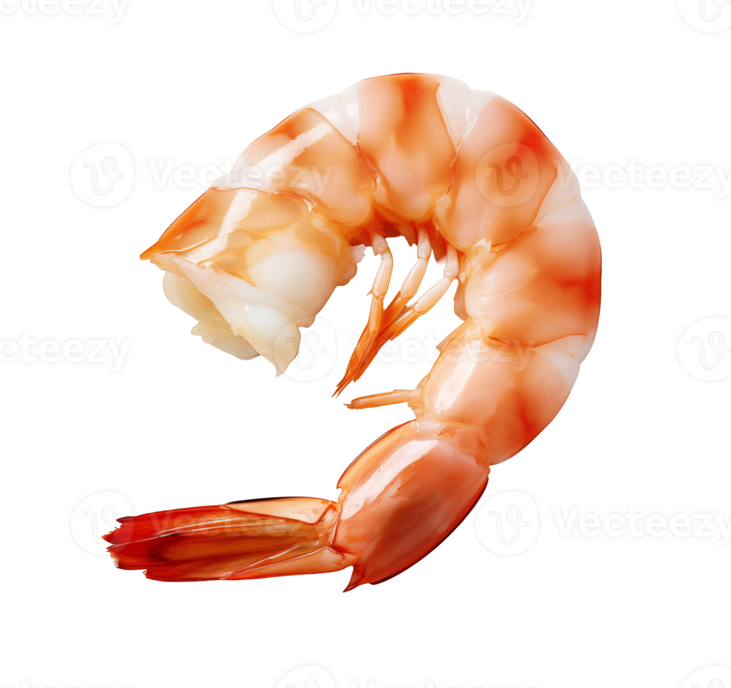 Shrimp on isolated background, shrimp perfection, unlocking seafood's best kept secret png