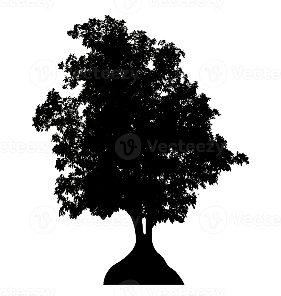 Realistic tree silhouette isolated on transparent background with clipping path and alpha channel png