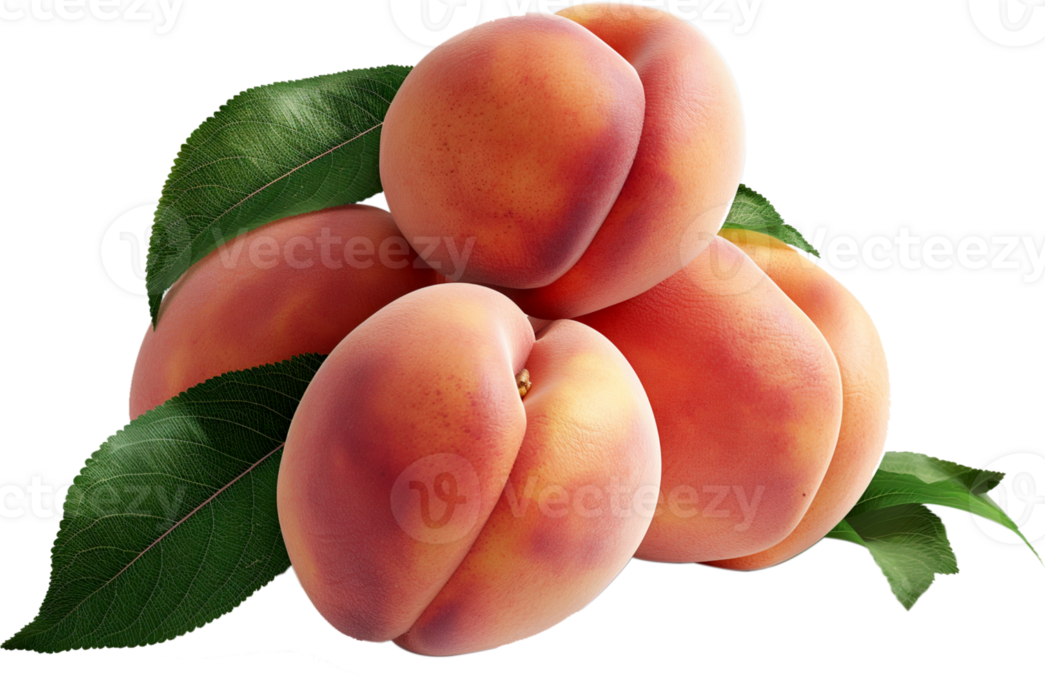 A healthy bunch of peach with leaves isolated on a transparent background png