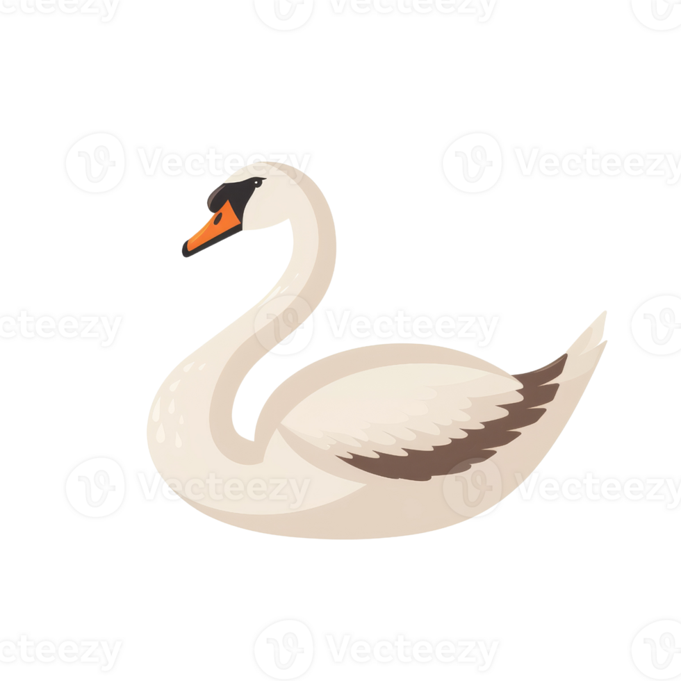 Swan on a transparent background. illustration in cartoon style. png