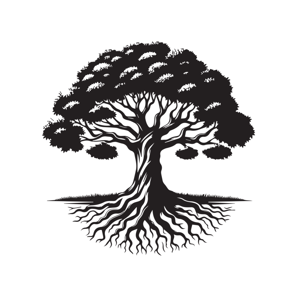 tree silhouette transparent . png