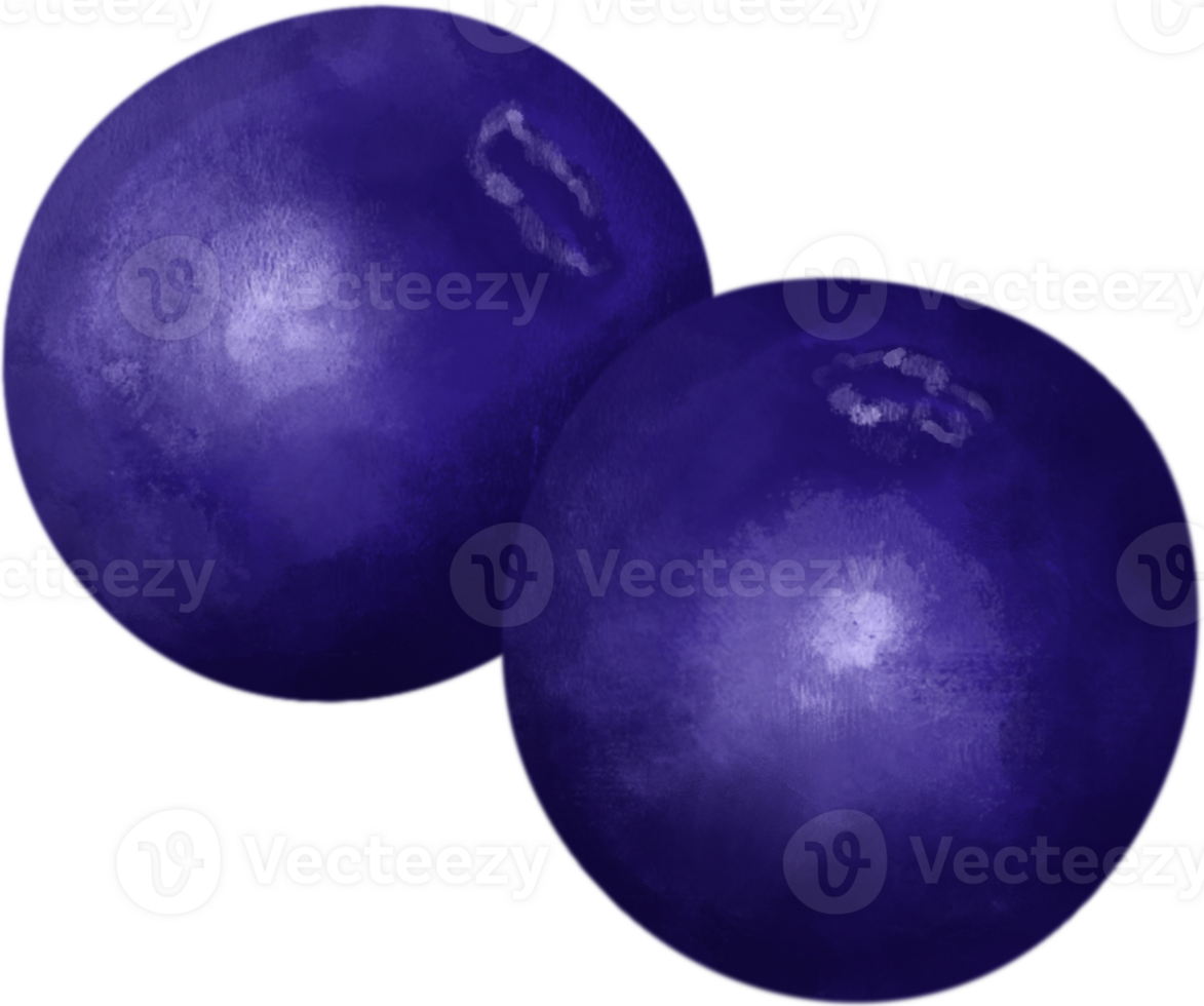 Two plump, round blueberries that look fresh and delicious. png