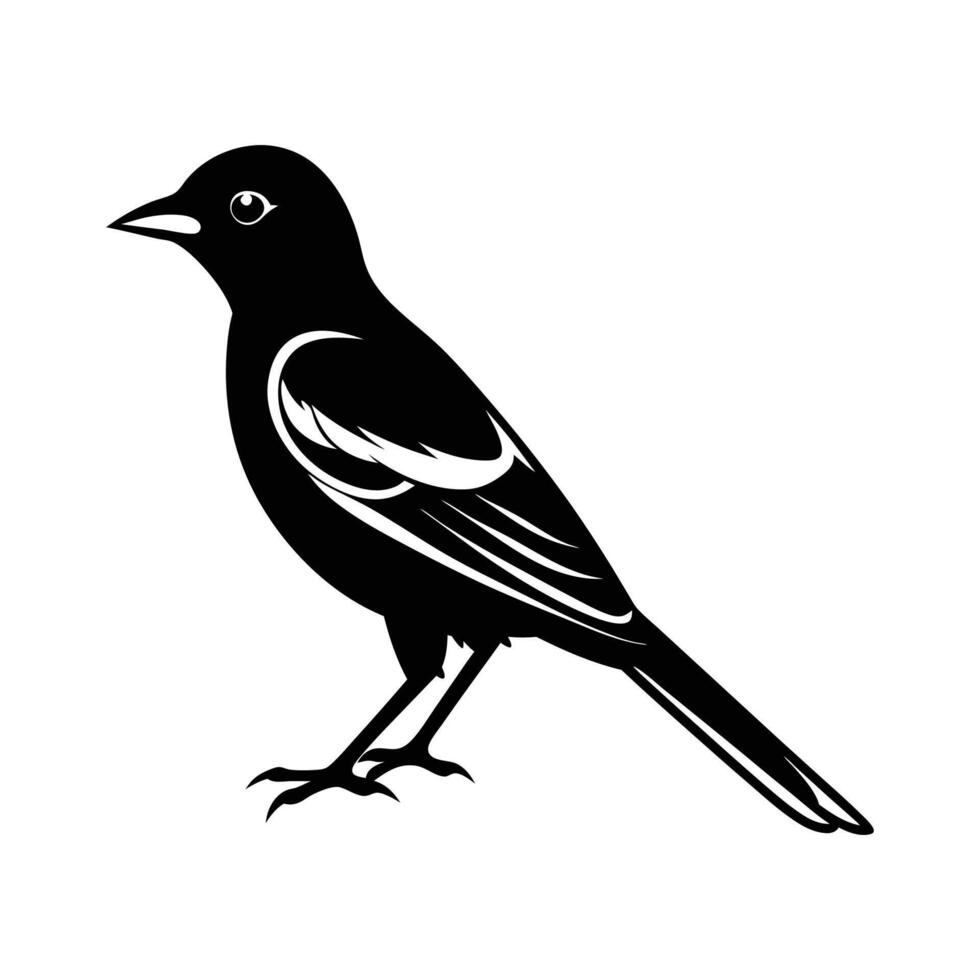 Oriole Bird Silhouette Illustration vector