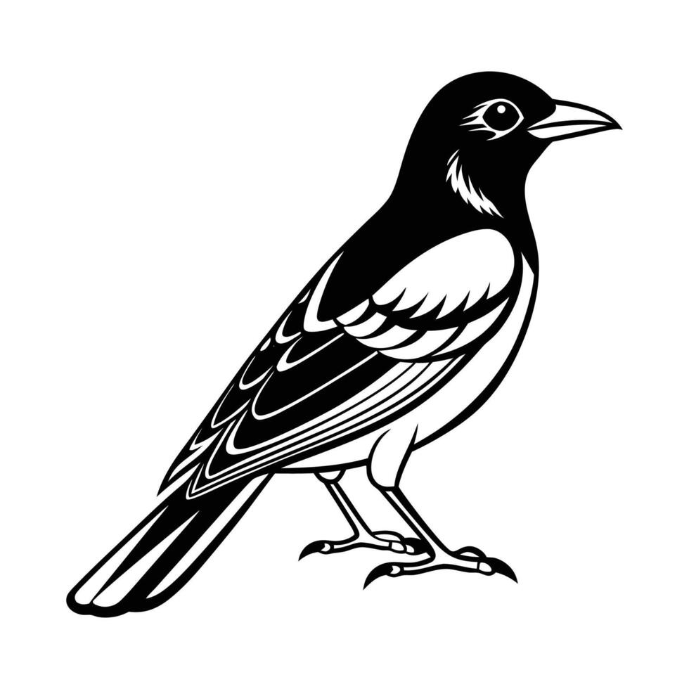 Oriole Bird Silhouette Illustration vector