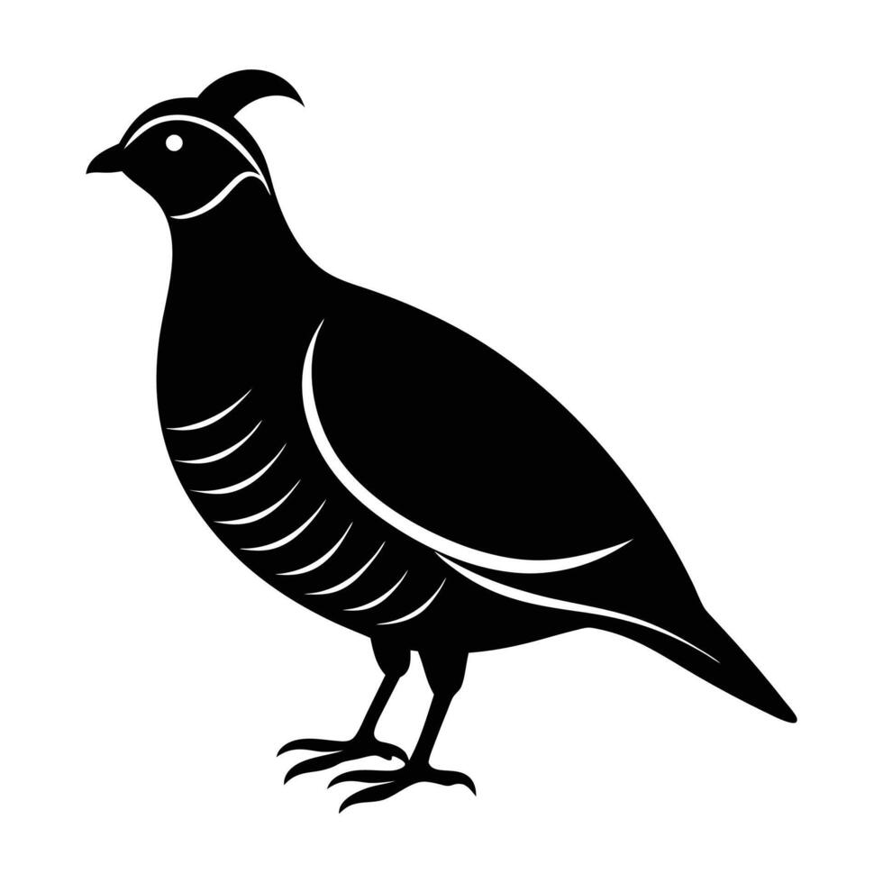 Quail Bird Silhouette Illustration vector