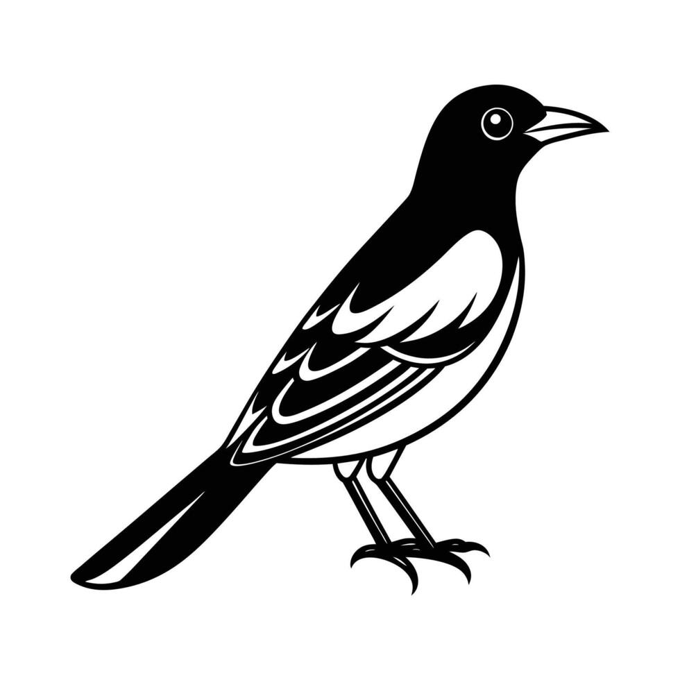 Oriole Bird Silhouette Illustration vector