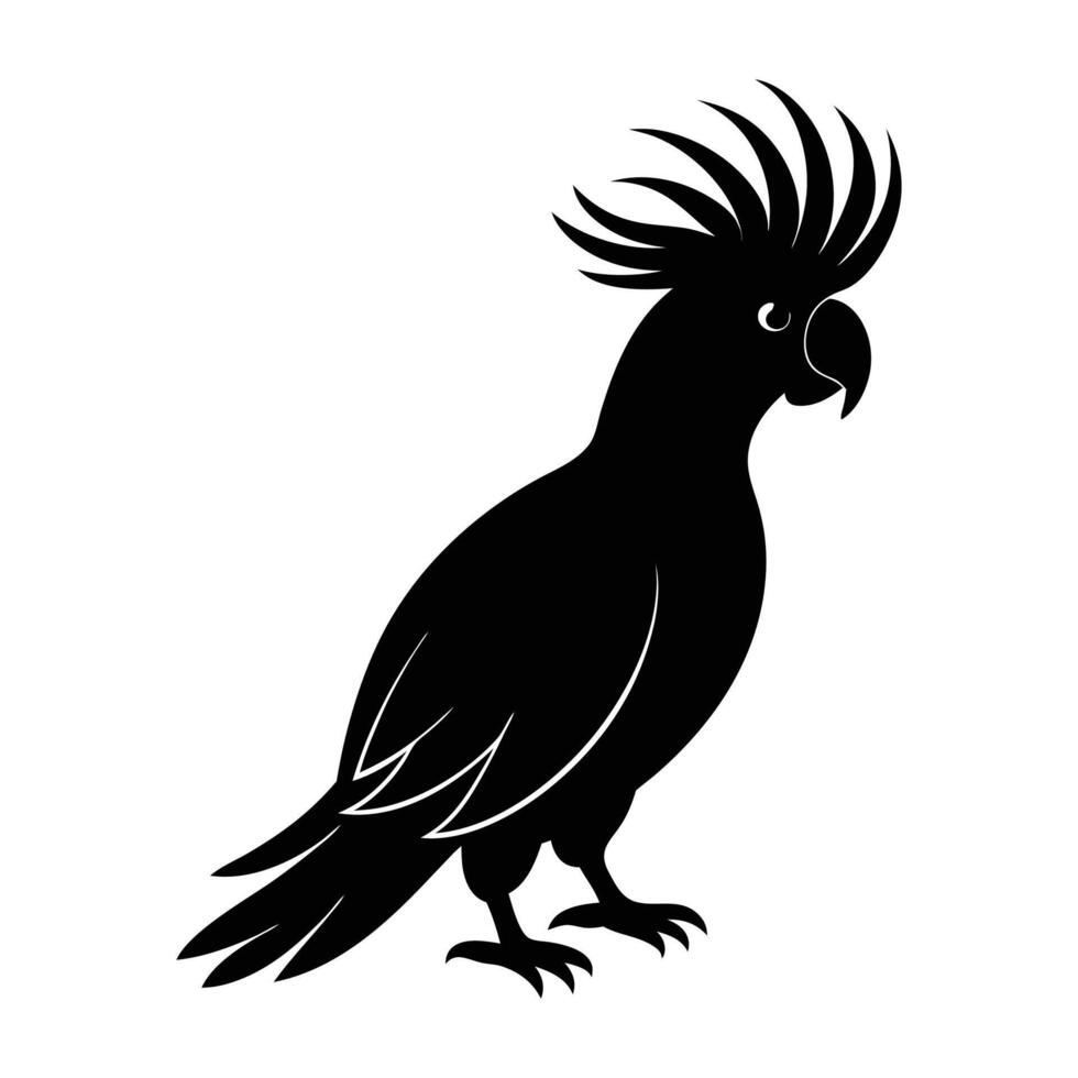 Silhouette of Elegant Cockatoo Bird vector