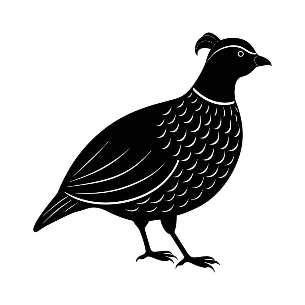 Quail Bird Silhouette Illustration vector