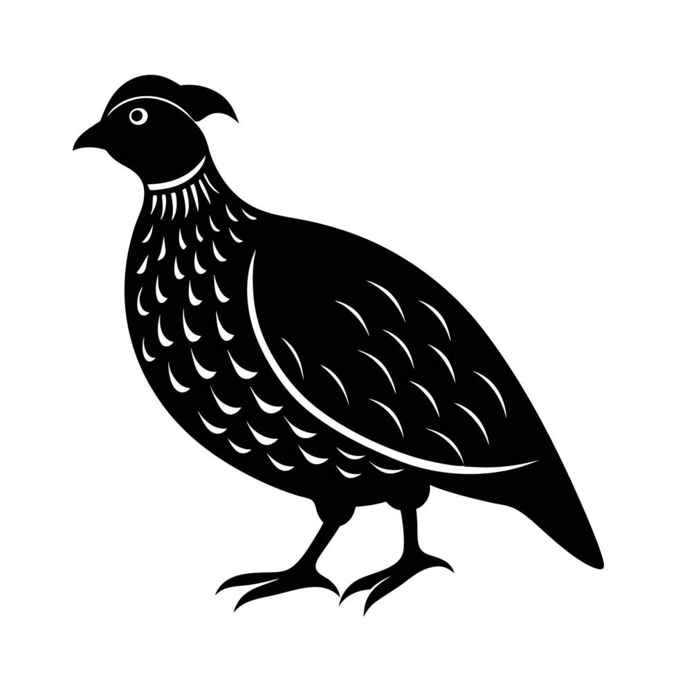 Quail Bird Silhouette Illustration vector