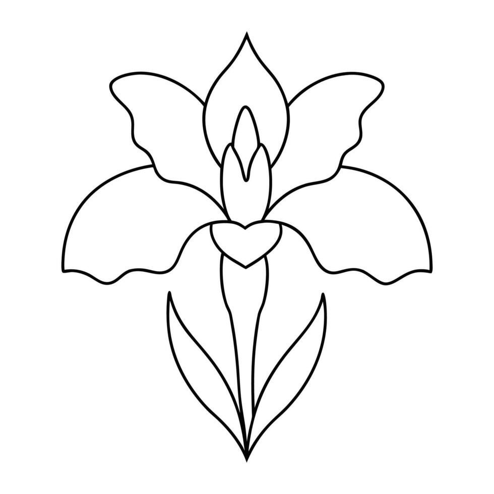 Simple Outline of an Iris for a Coloring Page vector