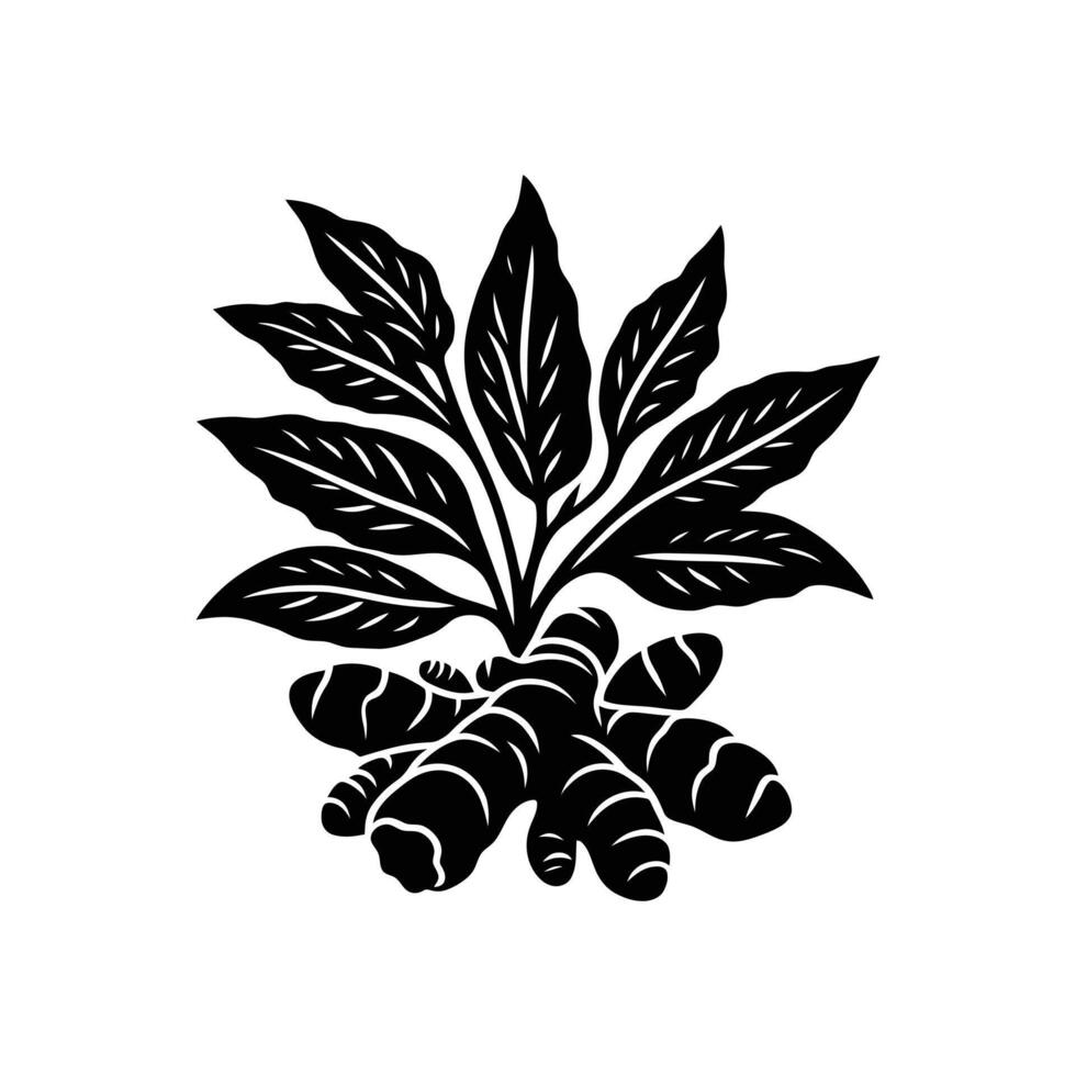 Elegant Ginger Root Icon - Intricate Black and White Silhouette for Herbal, Culinary, and Nature Projects vector