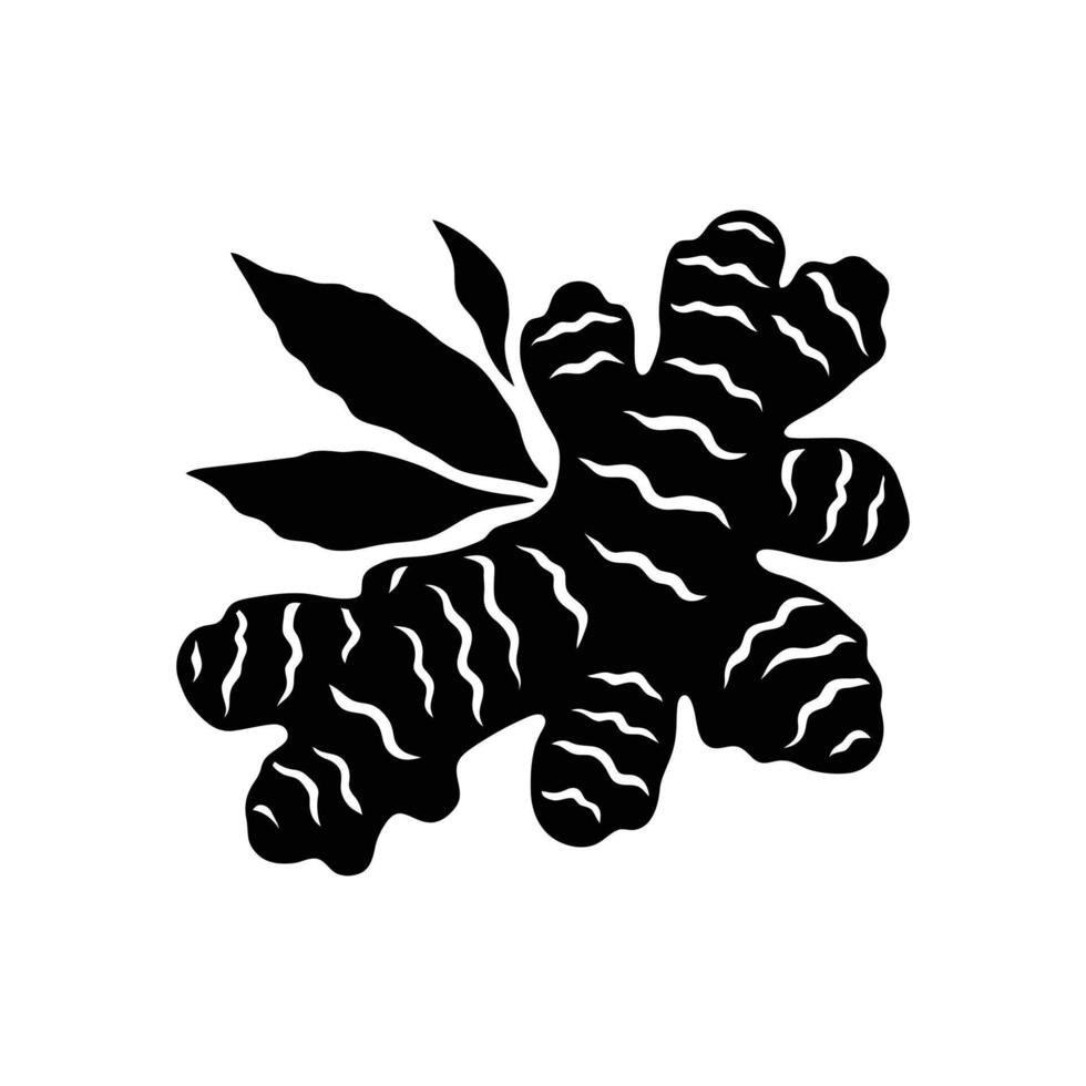 Black and White Ginger Illustration - High-Quality Silhouette Graphic for Culinary and Herbal Projects vector
