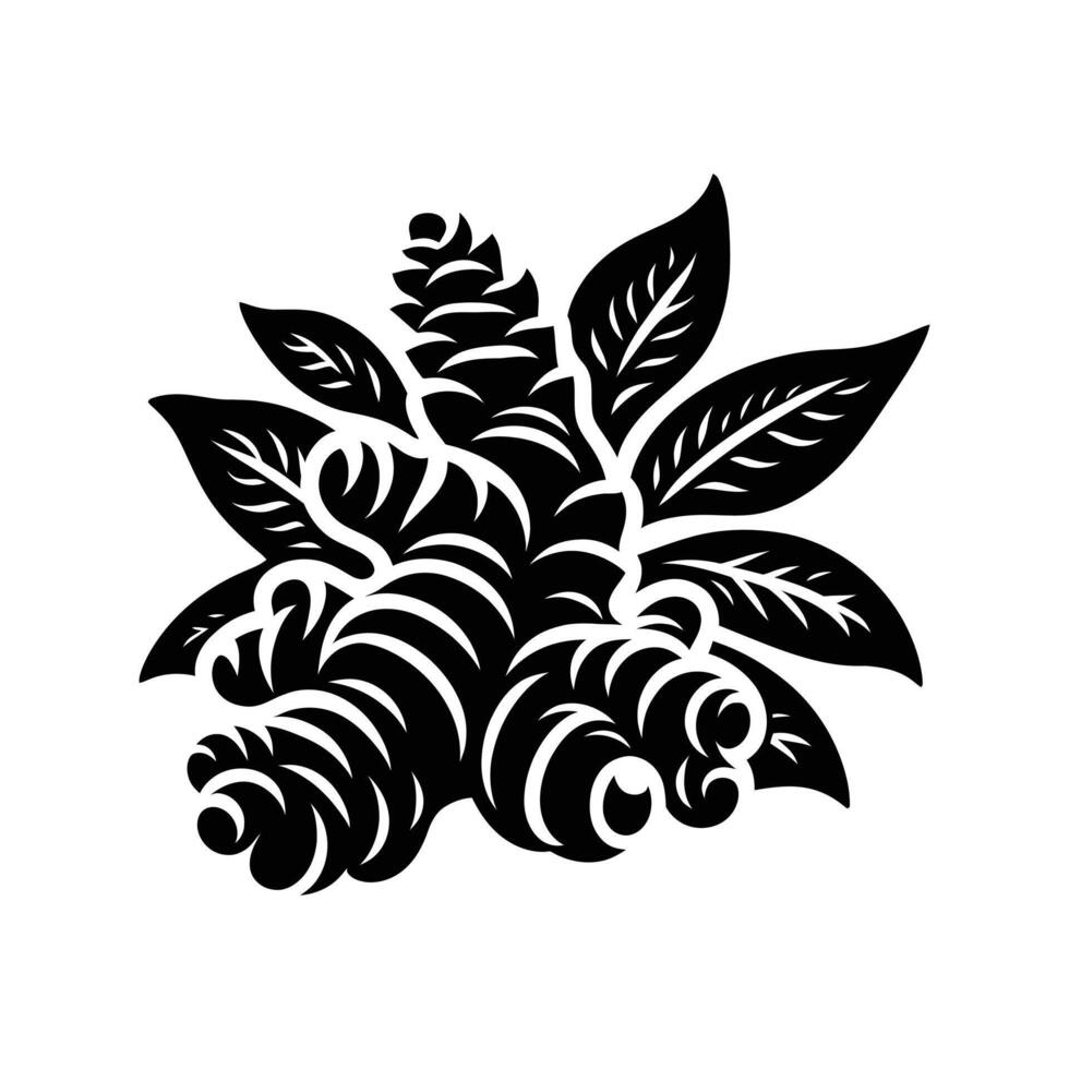 Black and White Ginger Illustration - High-Quality Silhouette Graphic for Culinary and Herbal Projects vector
