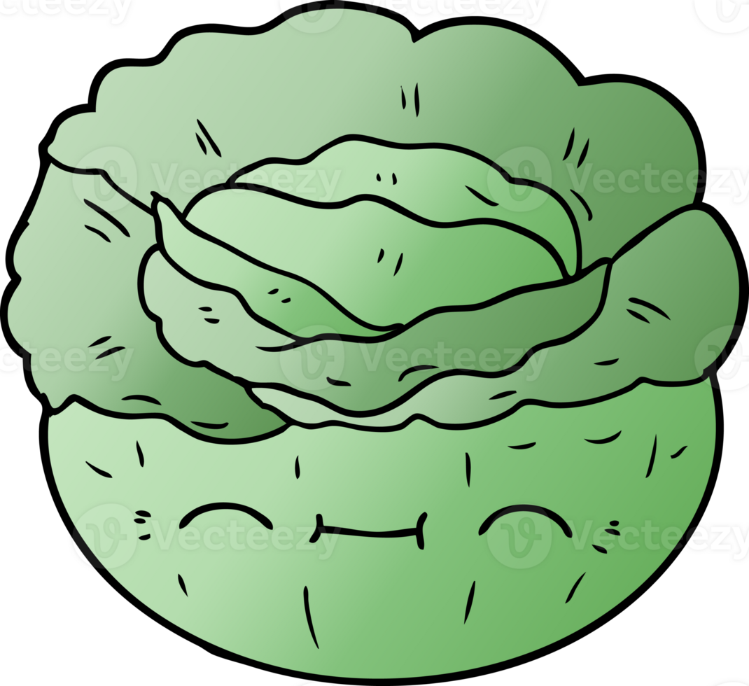 cartoon cabbage drawing png