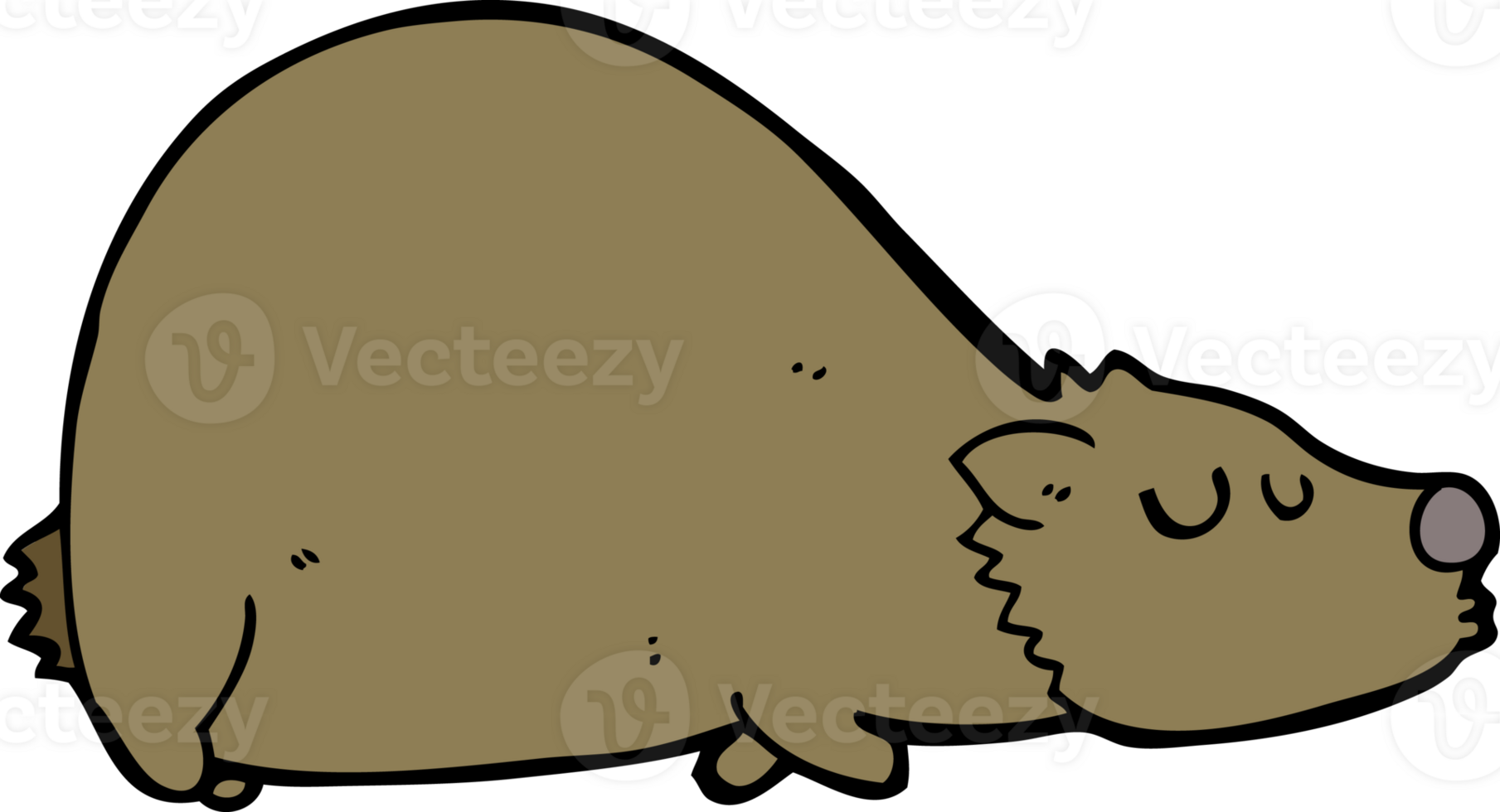 cartoon bear drawing png
