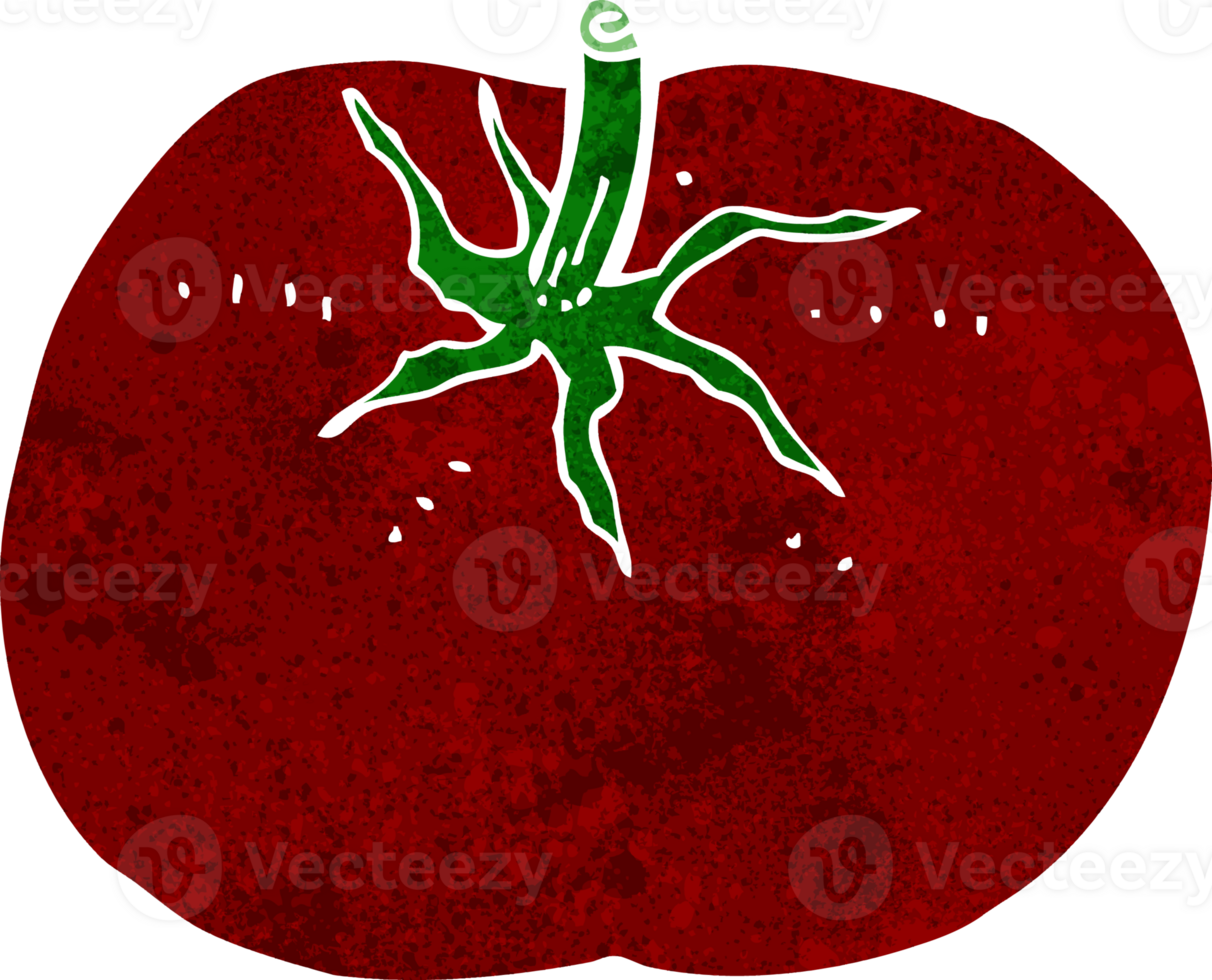 cartoon tomato drawing png