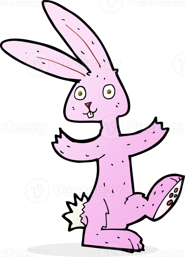 cartoon rabbit drawing png