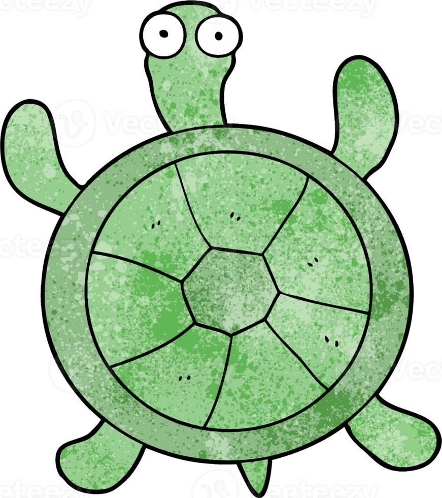 cartoon turtle drawing png