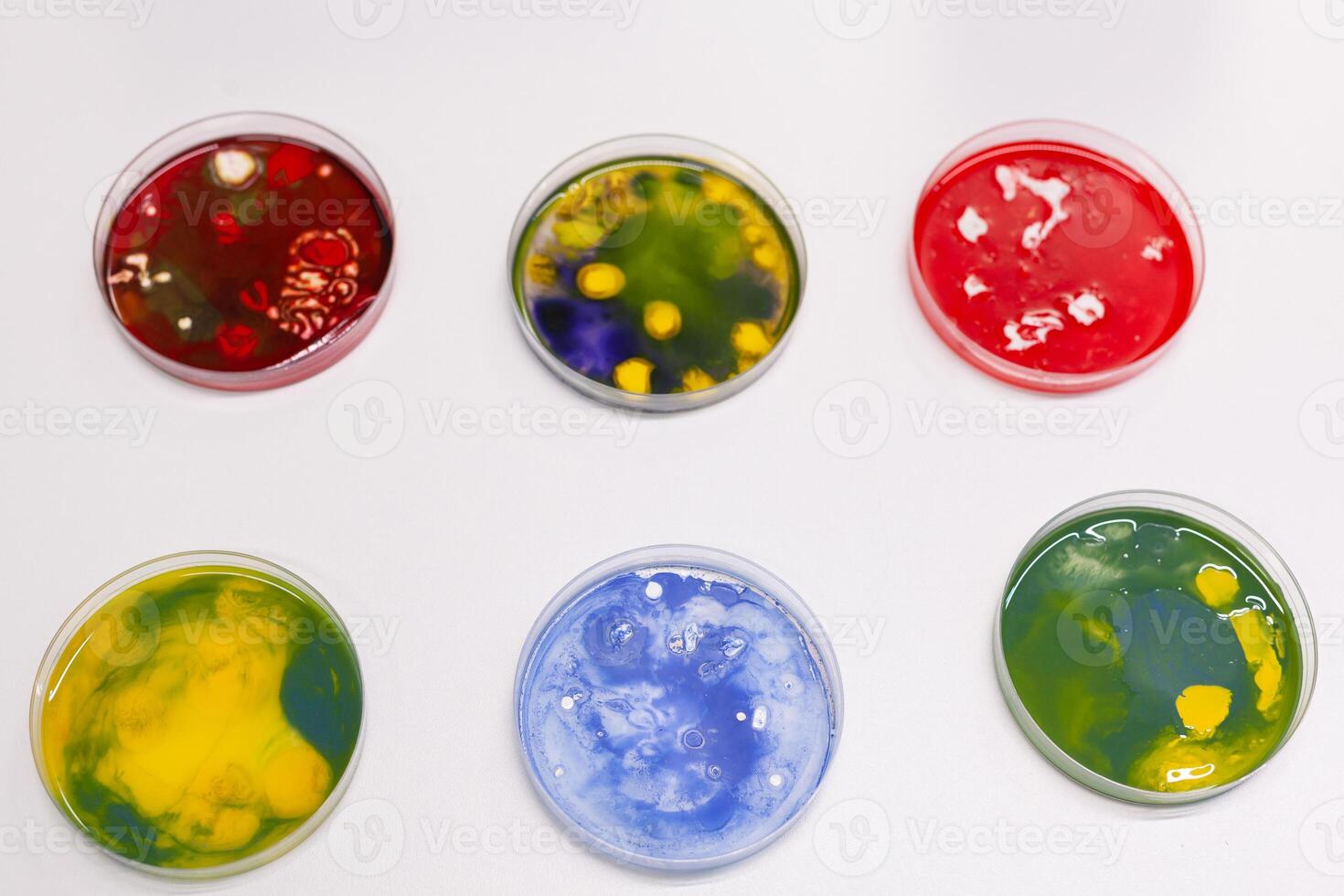 Petri dish with colony of microorganism standing on table in pharmaceutical microbiology hospital laboratory. Scientific biological bacteria liquid sample. Medical bacteriology experiment photo