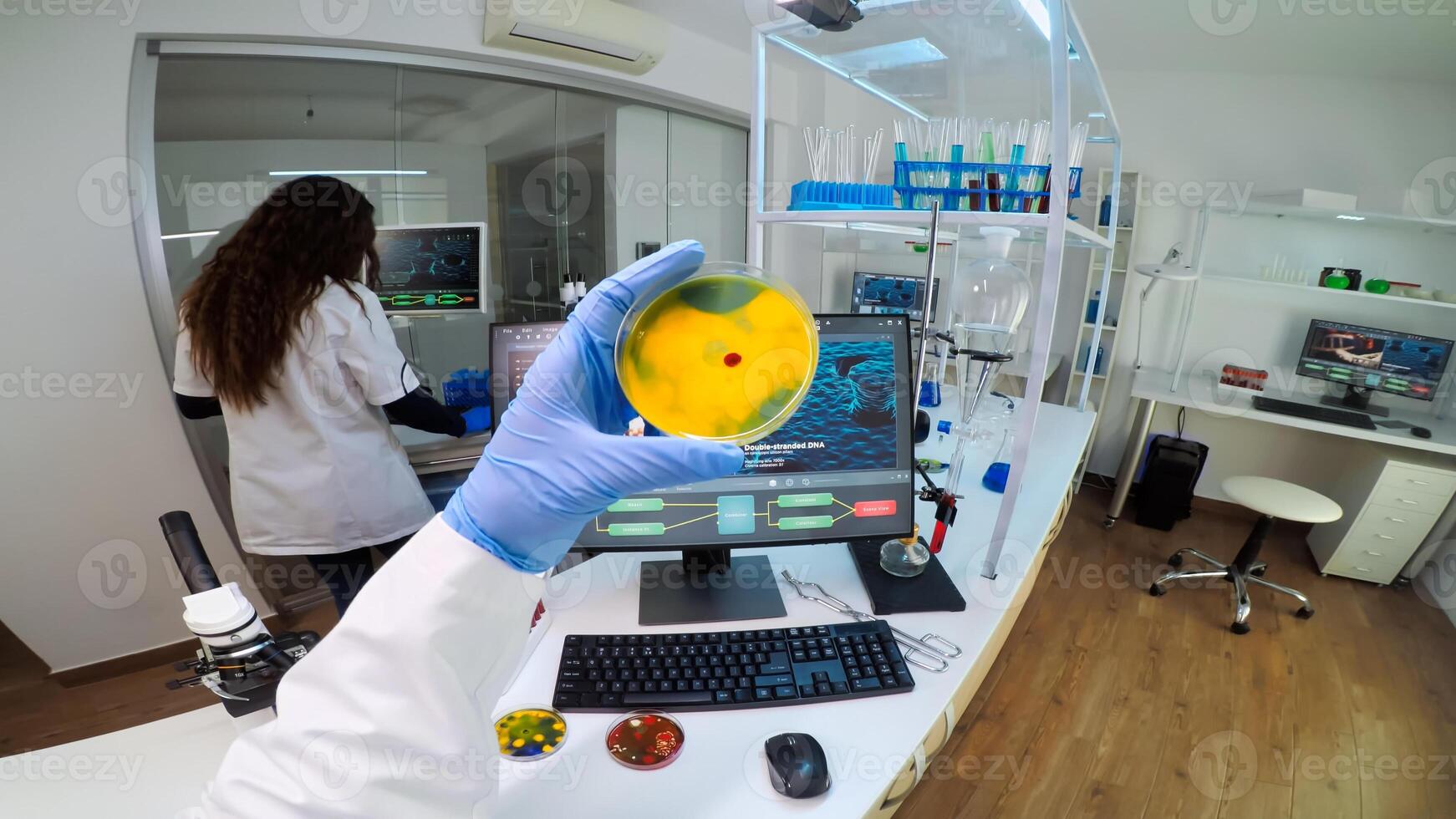 POV of chemist analysing bacteria culture from petri dish typing results in pc. Team of doctors examining vaccine evolution with high tech, chemistry tools for research in development of covid19 virus photo