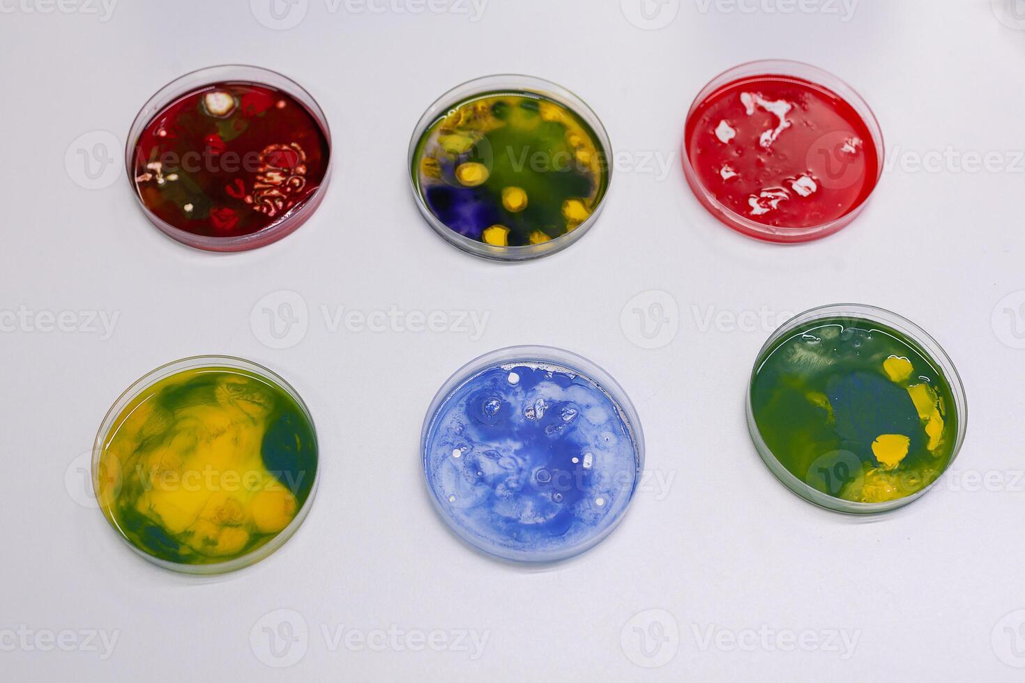 Close up of research laboratory desk with petri dish at chemistry facility. Scientific glass tray with bacteria, virus, dna, and liquid substance for tests and examination with microscope photo