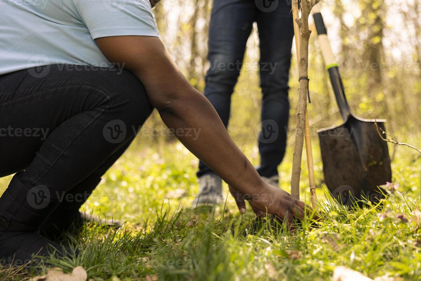 African american people planting small tree in the forest environment, contributing to wildlife and nature conservation. Activists doing voluntary work to increase the vegetation. Close up. photo
