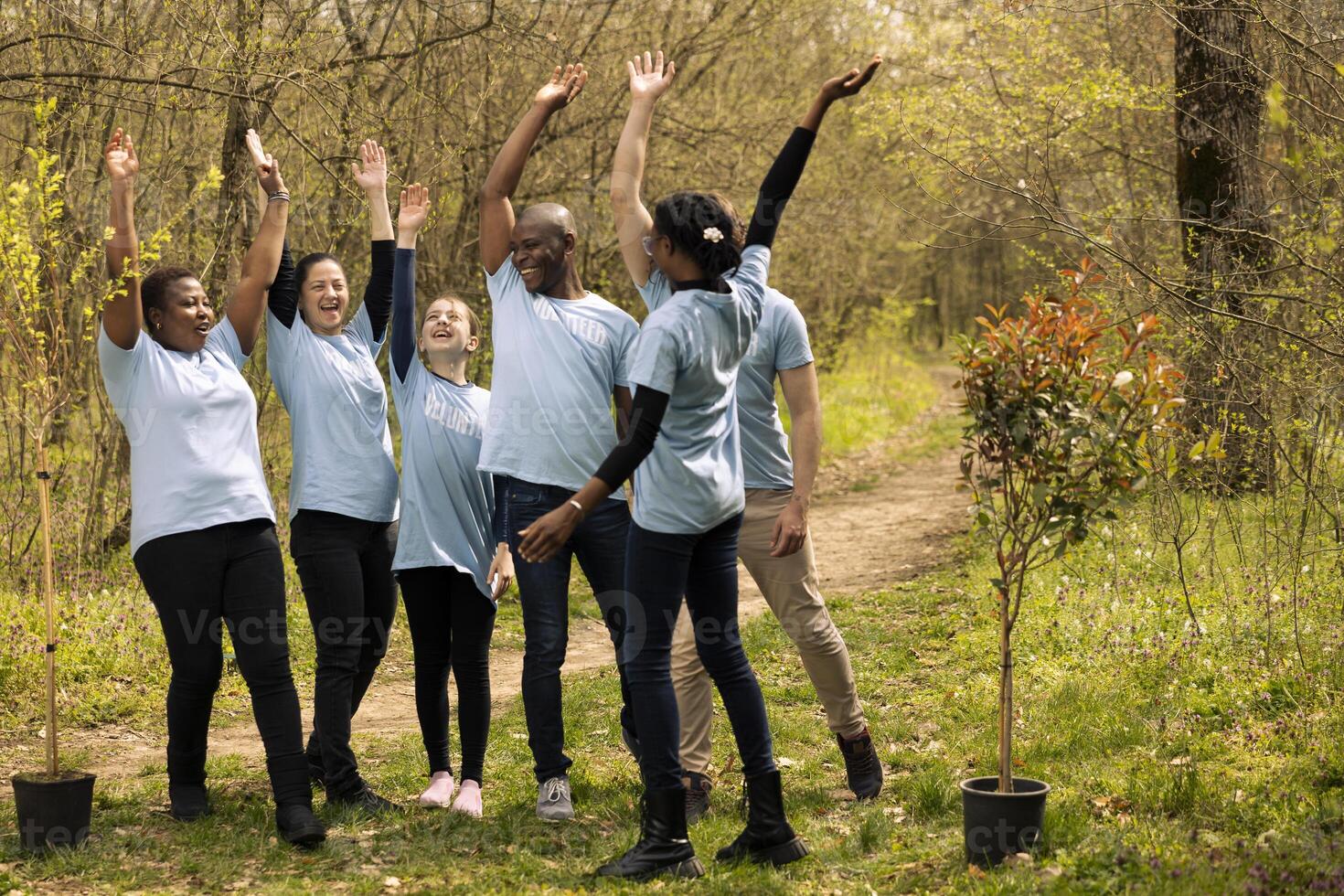 Diverse team of activists uniting hands in celebration after a successful mission of preserving nature, fighting for reforestation. Group of people joining forces to grow more trees in the woods. photo