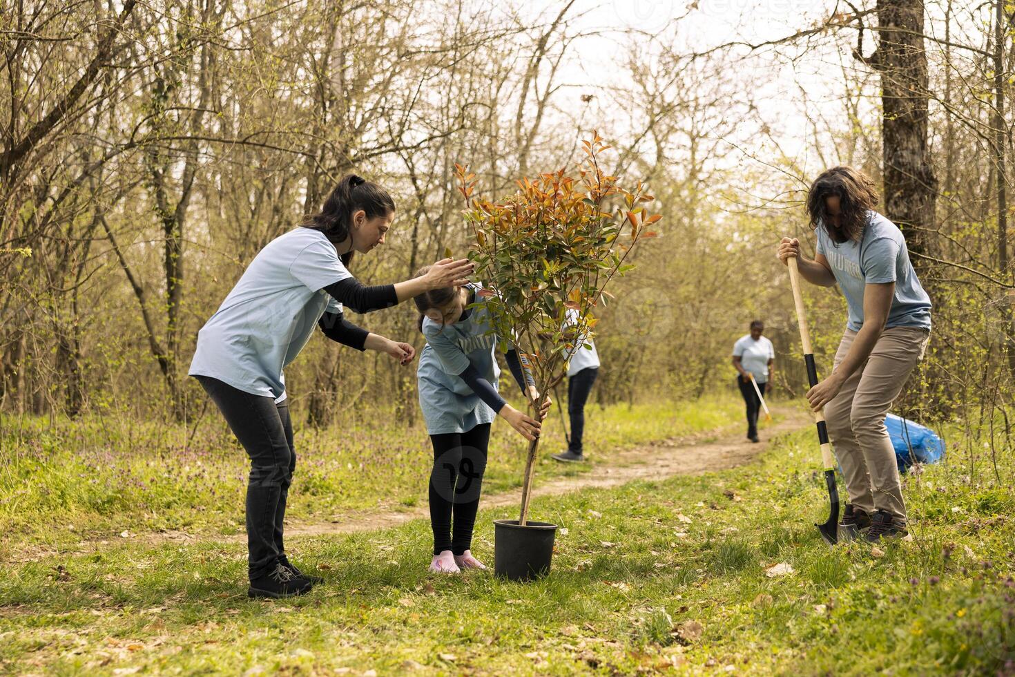 Team of activists growing the natural vegetation in a forest area, planting trees and preserving nature by taking action for reforestation. Volunteers team up for community service. photo
