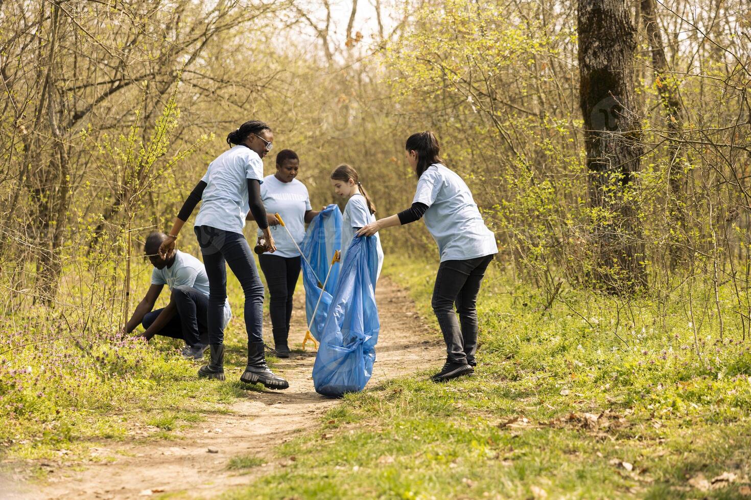 Diverse team of volunteers picking up garbage in disposal bags, collecting rubbish and plastic waste from the woods. People cleaning the forest from pollution, environmental care. photo