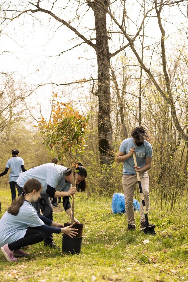 Team of environmentalists digging holes and installing vegetation, planting trees for reforestation concept. People doing voluntary work to collaborate on conservation project, save the planet. photo
