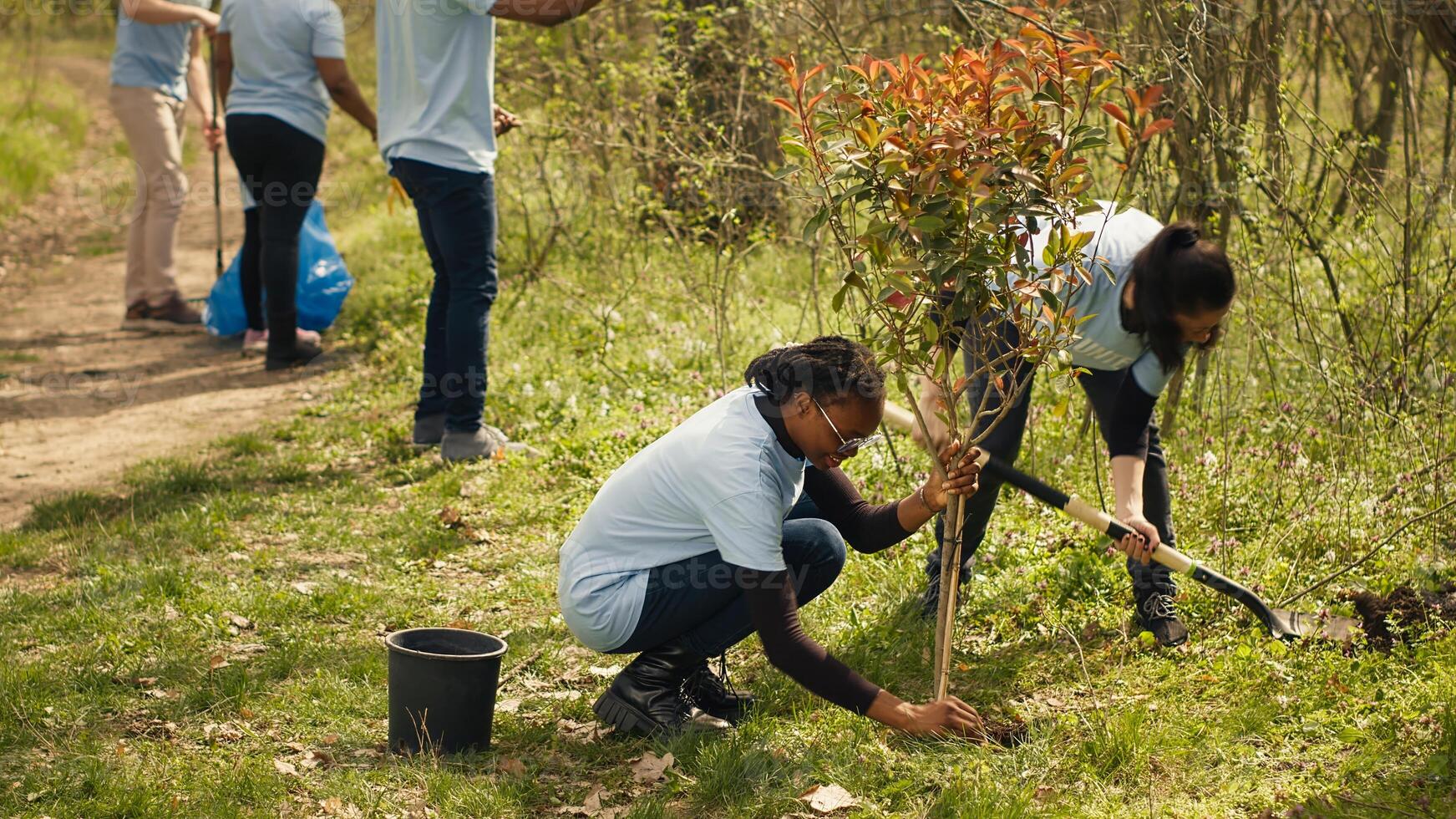 Team of climate change activists doing voluntary work to plant trees, protect natural forest habitat. Planting seedings for future generations, giving life and helping the earth. Camera A. photo