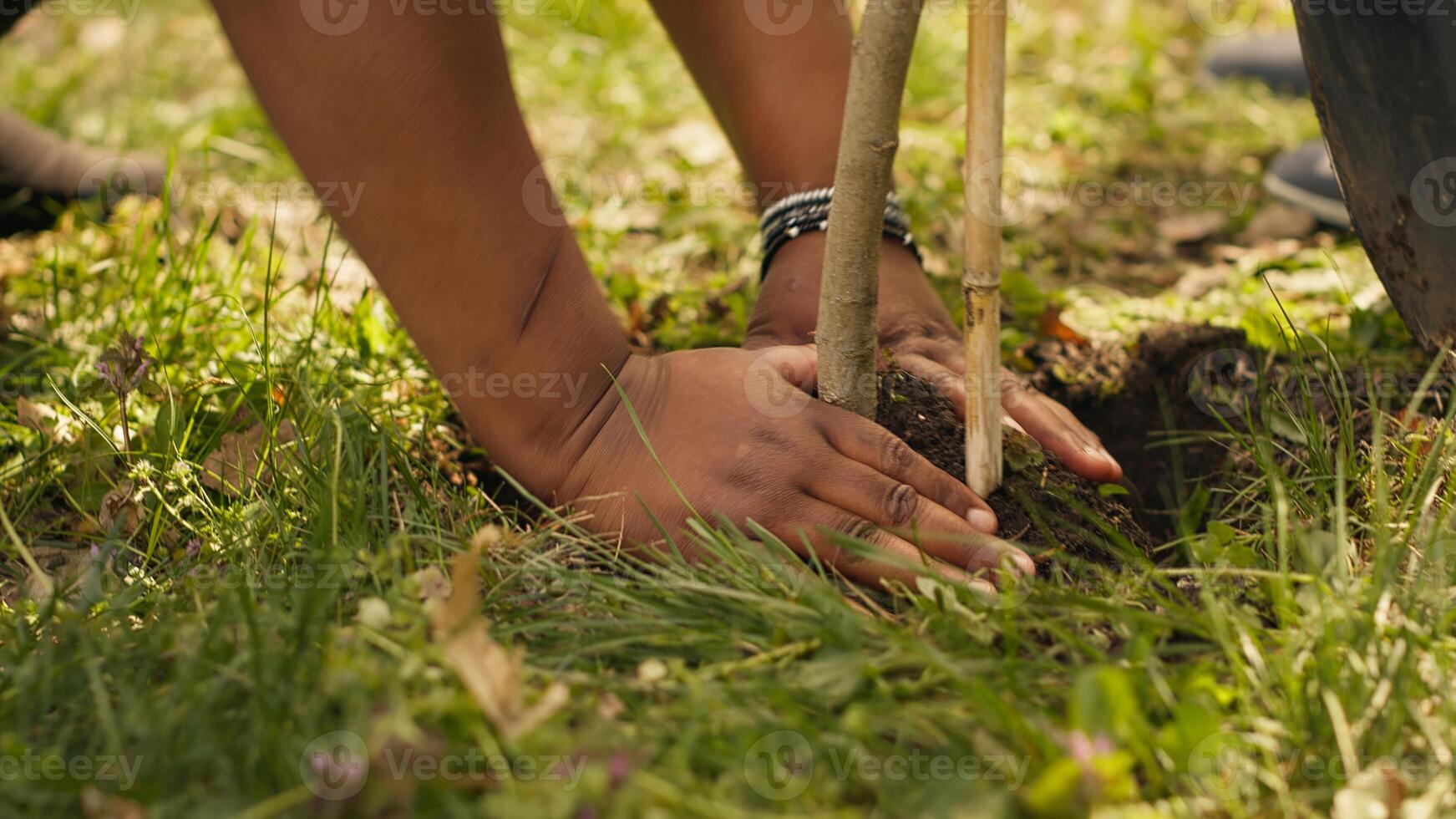 Volunteers filling up holes after planting trees around the forest, contributing to environmental protection and restore nature. Activists social team growing seeds in the woods habitat. Camera A. photo