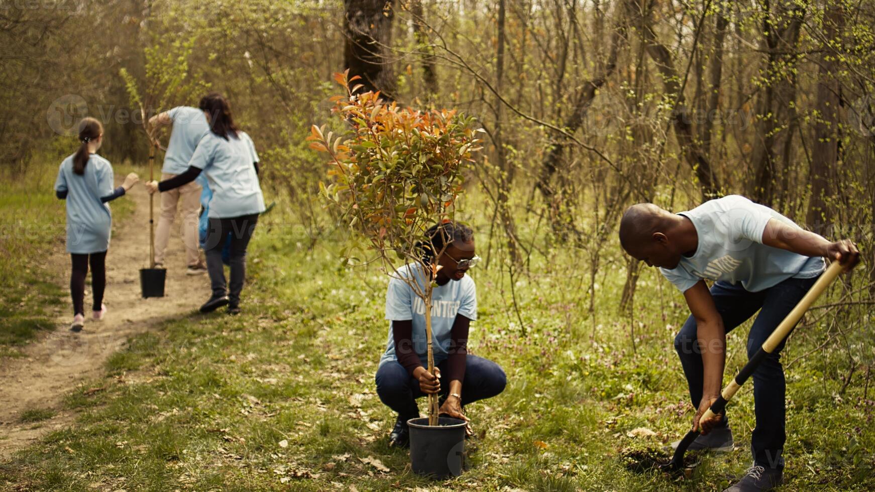 Team of activists planting trees to conserve natural ecosystem and forest environment, digging holes after collecting rubbish. Volunteers taking action and preserving the woods habitat. Camera B. photo