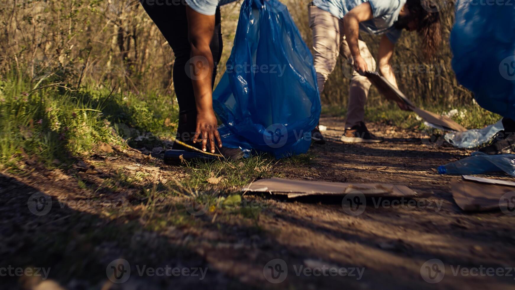People picking up trash and plastic bottles from the forest area, protecting the natural environment and doing voluntary work. Activists group cleaning the woods, recycling waste. Camera B. photo