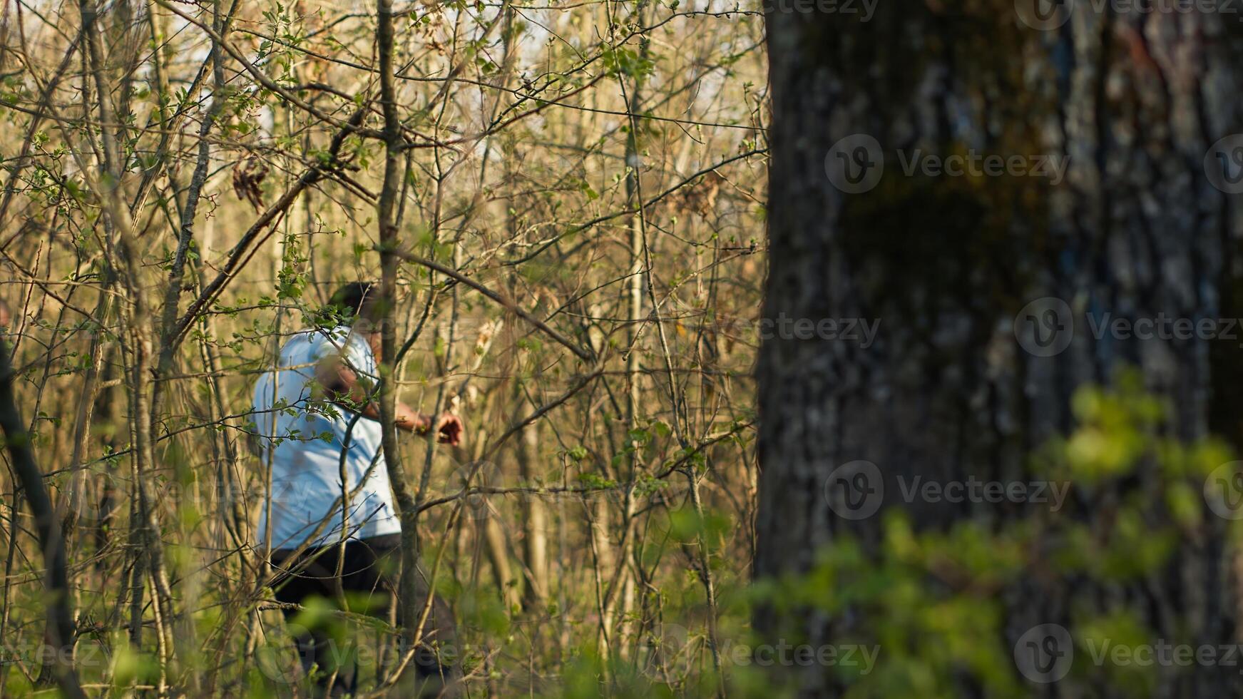 Civilian search party beginning the manhunt within the forest area, screaming the missing person name and tracking his steps. Rescuers group looking for clues, emergency mission. Camera A. photo