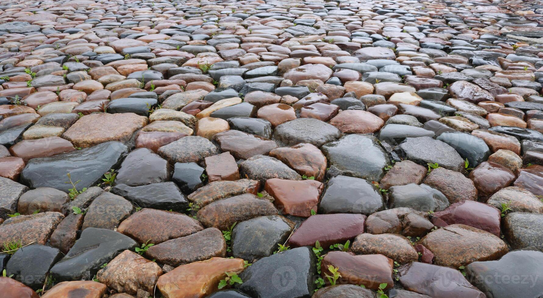 Wet multicolored cobblestone pavement in the city square on a rainy day photo