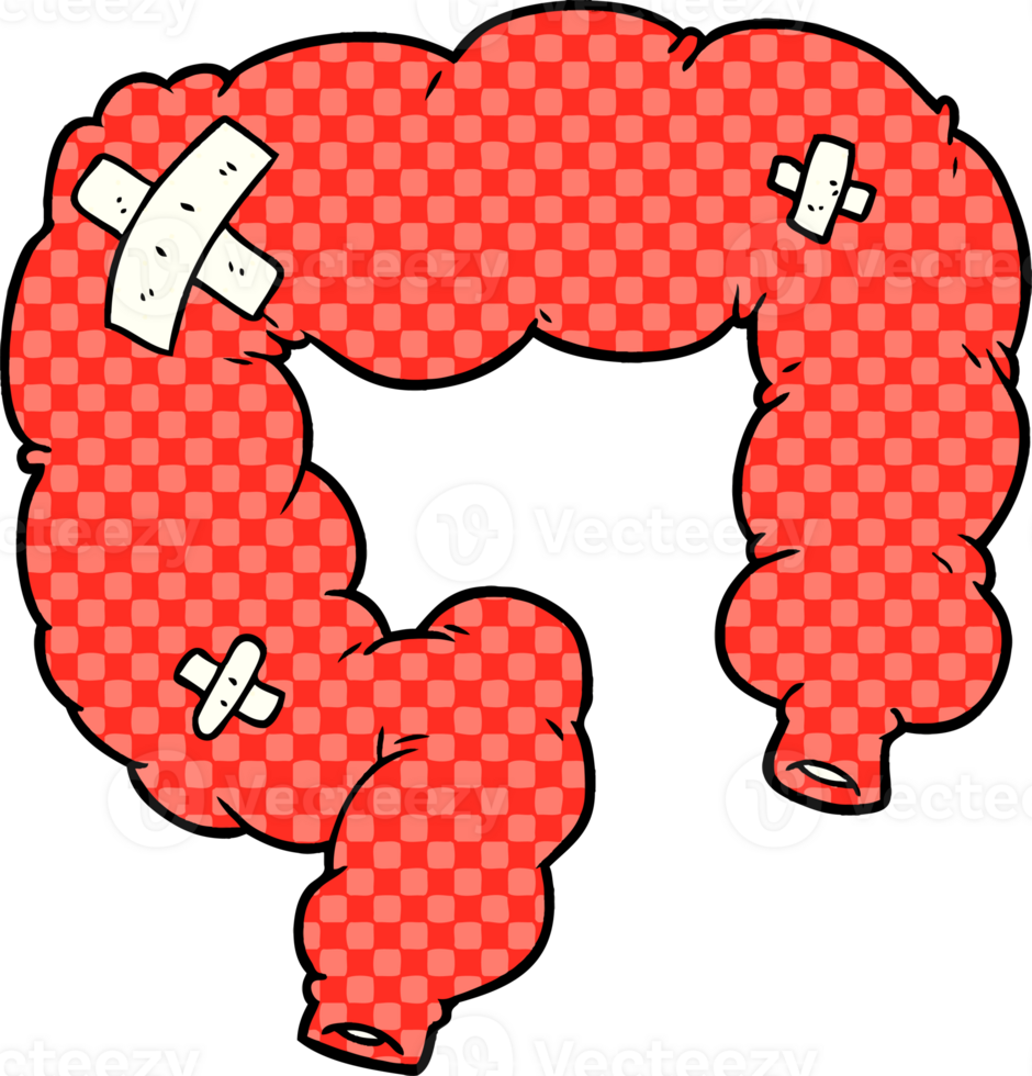 cartoon colon drawing png