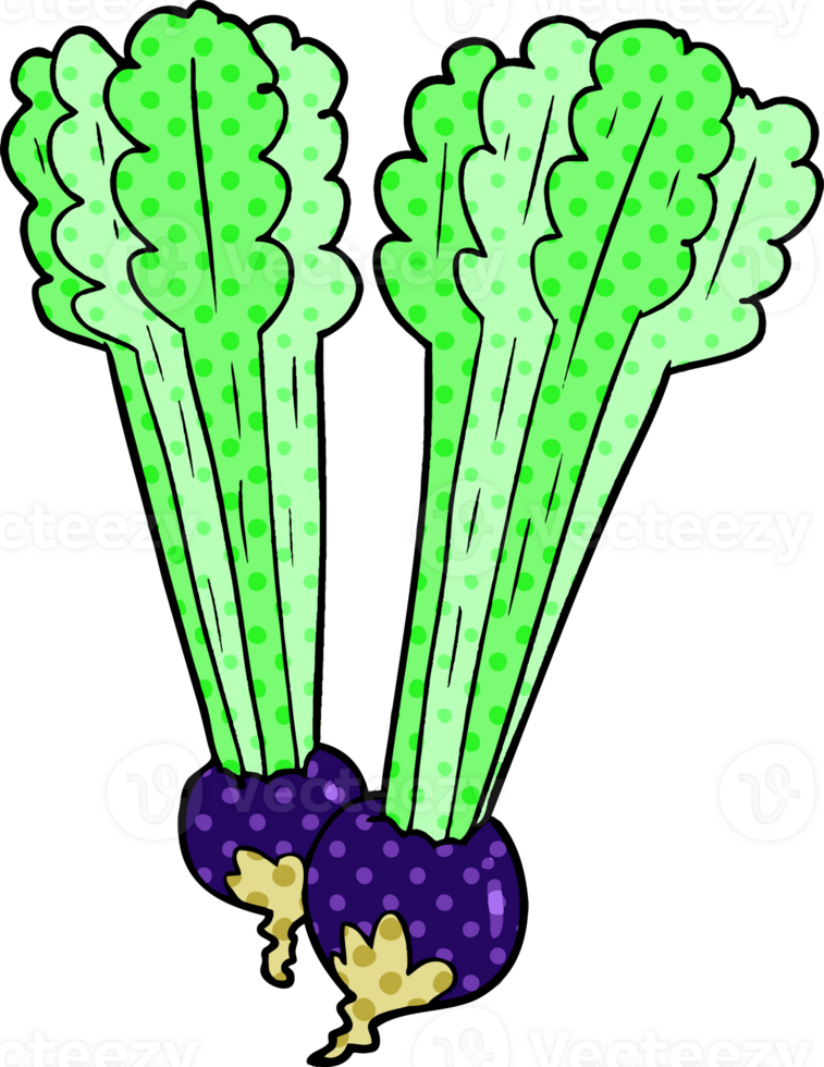 cartoon beetroots drawing png