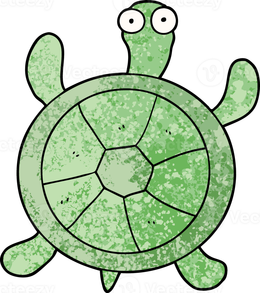 cartoon turtle drawing png