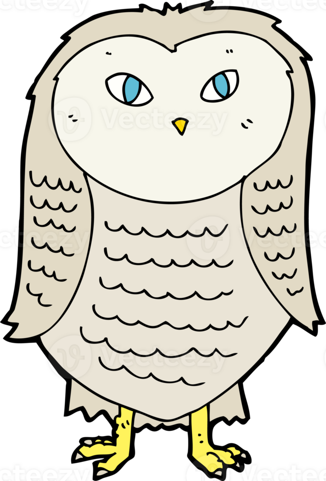 cartoon owl drawing png