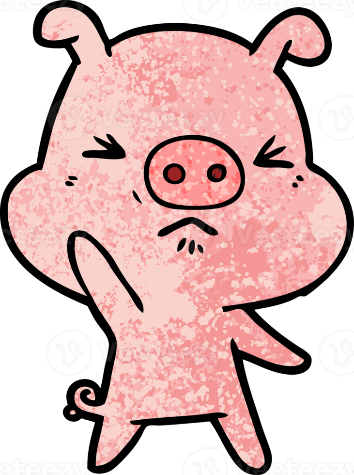 cartoon angry pig drawing png