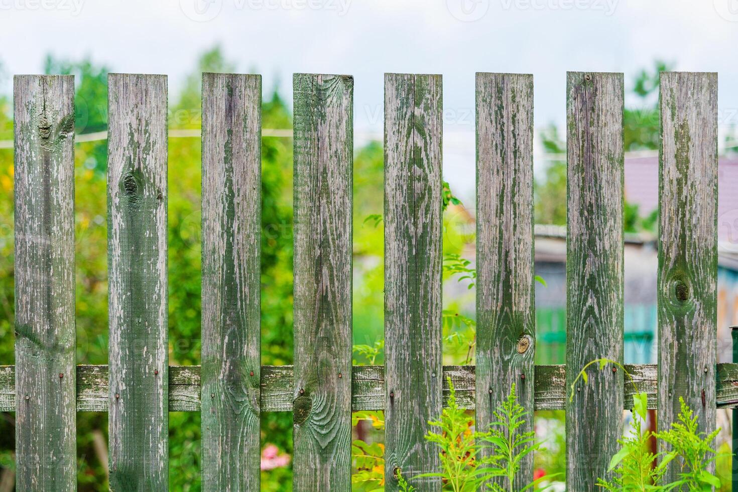 Fragment of a wooden fence painted green a background of garden in bokeh photo