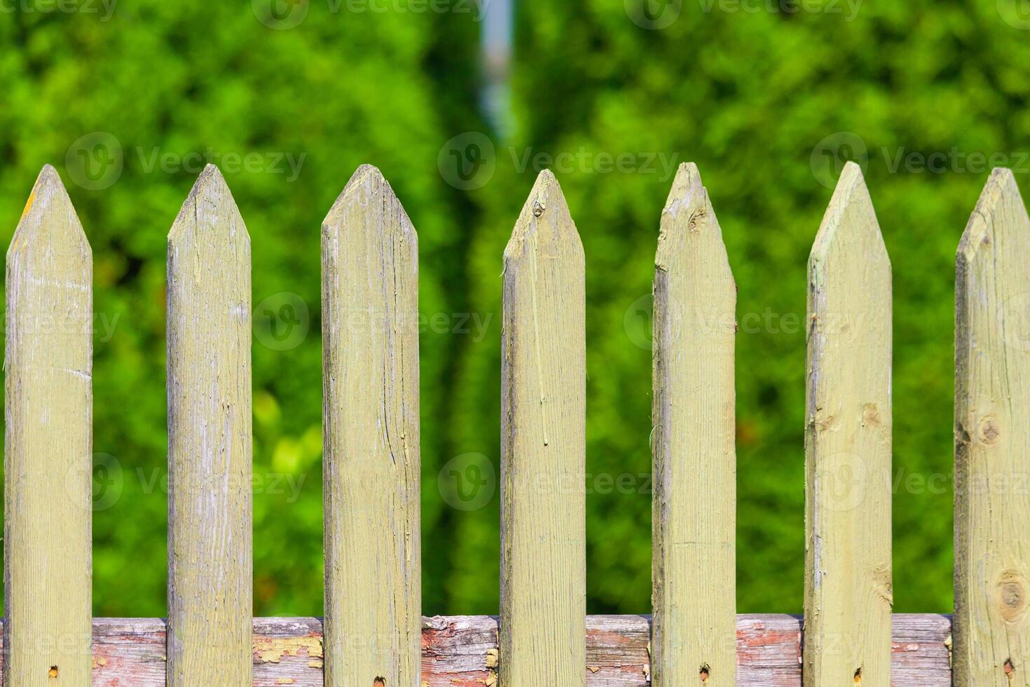Fragment of a wooden fence a background of green garden photo