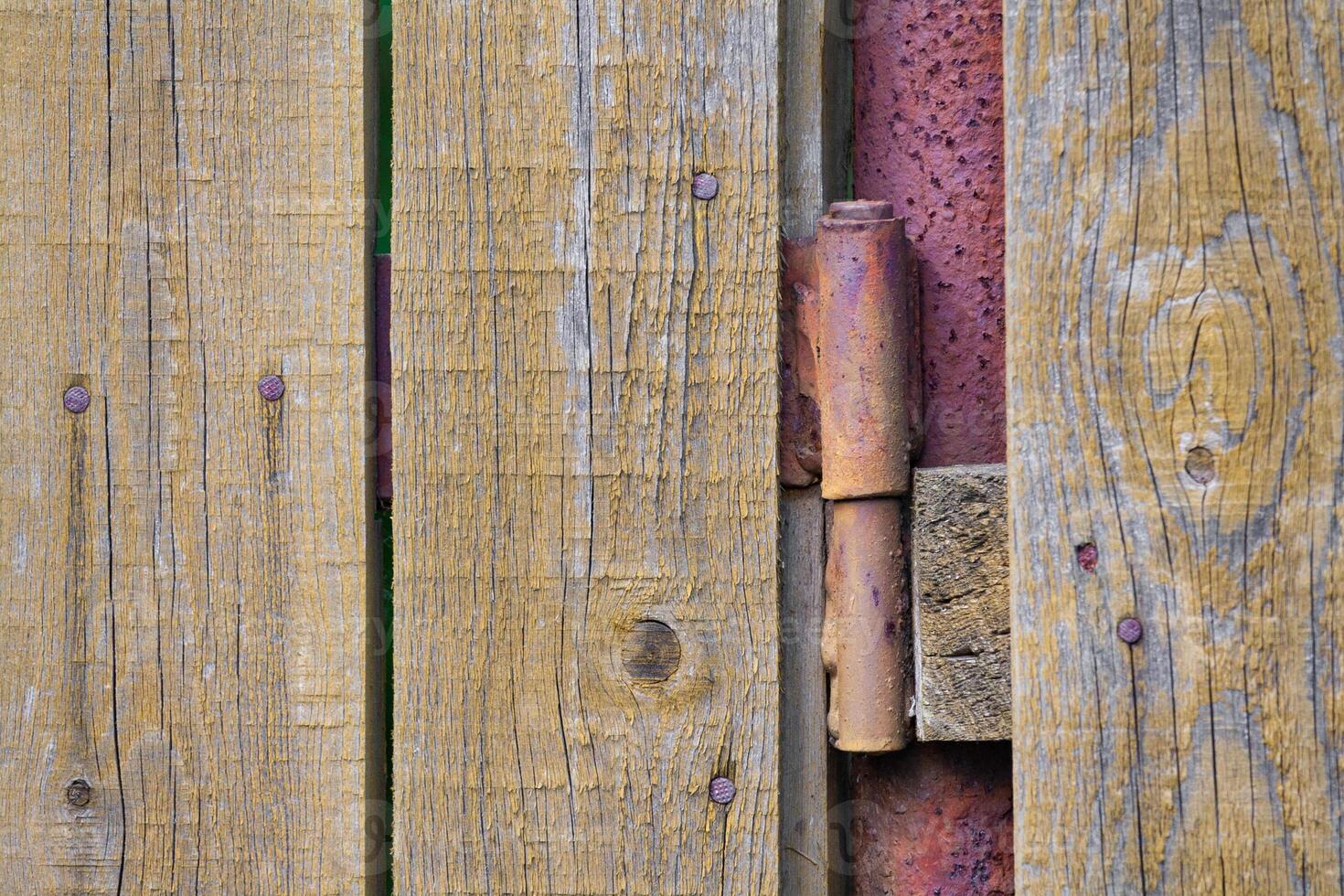 Closeup view of a rusty door hinge with shabby wooden planks photo